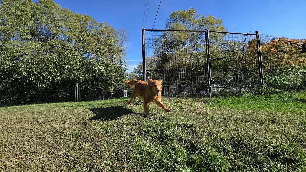 Happy Spot Pet Resort