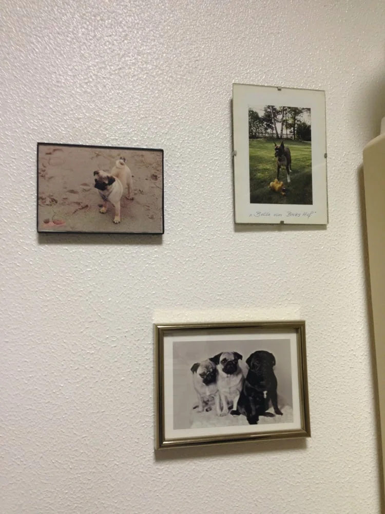 Tierärztliche Gemeinschaftspraxis Köln Alfred Sohns