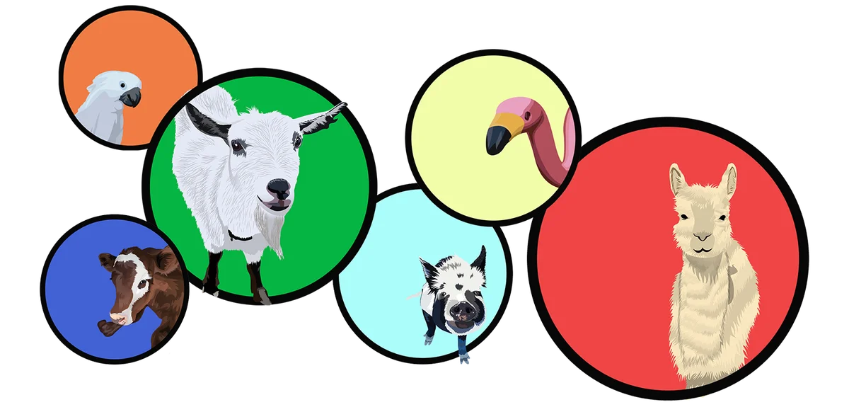 Mobile Veterinary Care