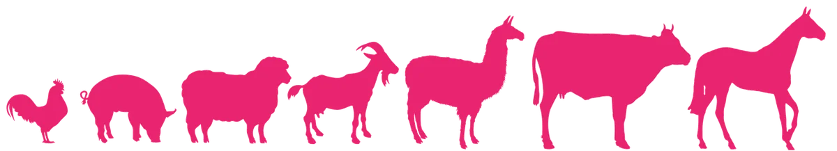 Ark Veterinary Services