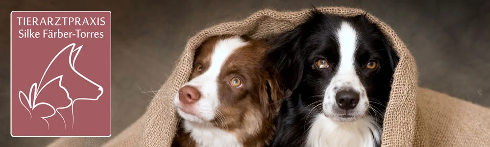 Tierarztpraxis Bonn-Lengsdorf