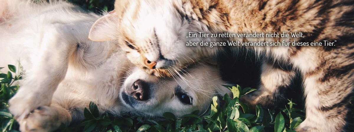 Kleintierpraxis am Kreisel