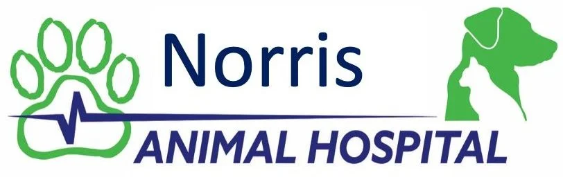Norris Veterinary Animal Hospital