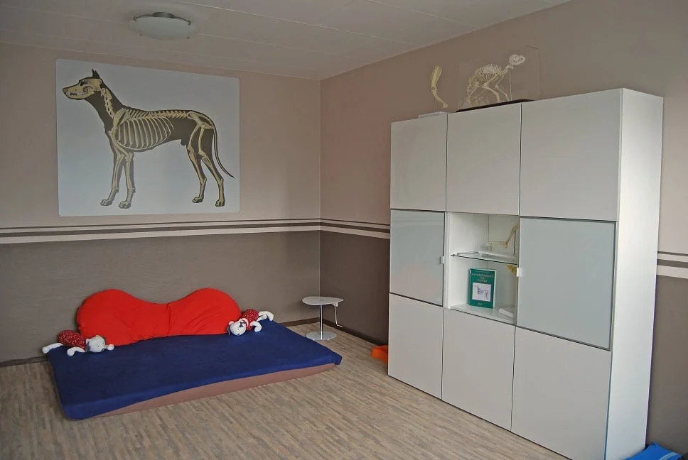 Physiotherapie für Kleintiere