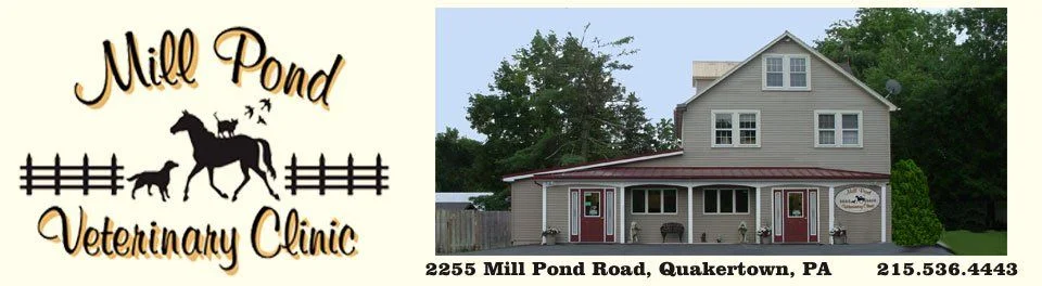 Mill Pond Veterinary Clinic