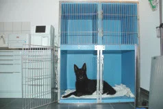 Tierarztpraxis im Gesundheitszentrum Stefanie Franke