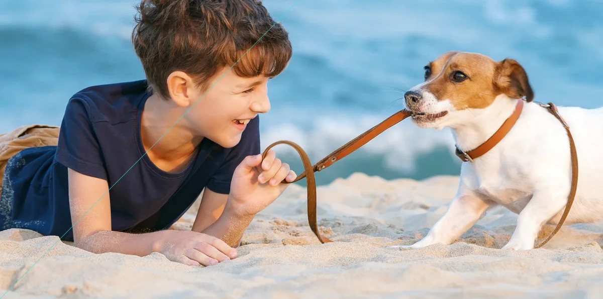 Surfside Animal Hospital