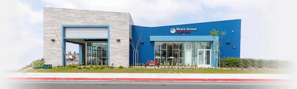 Beach Animal Urgent Care