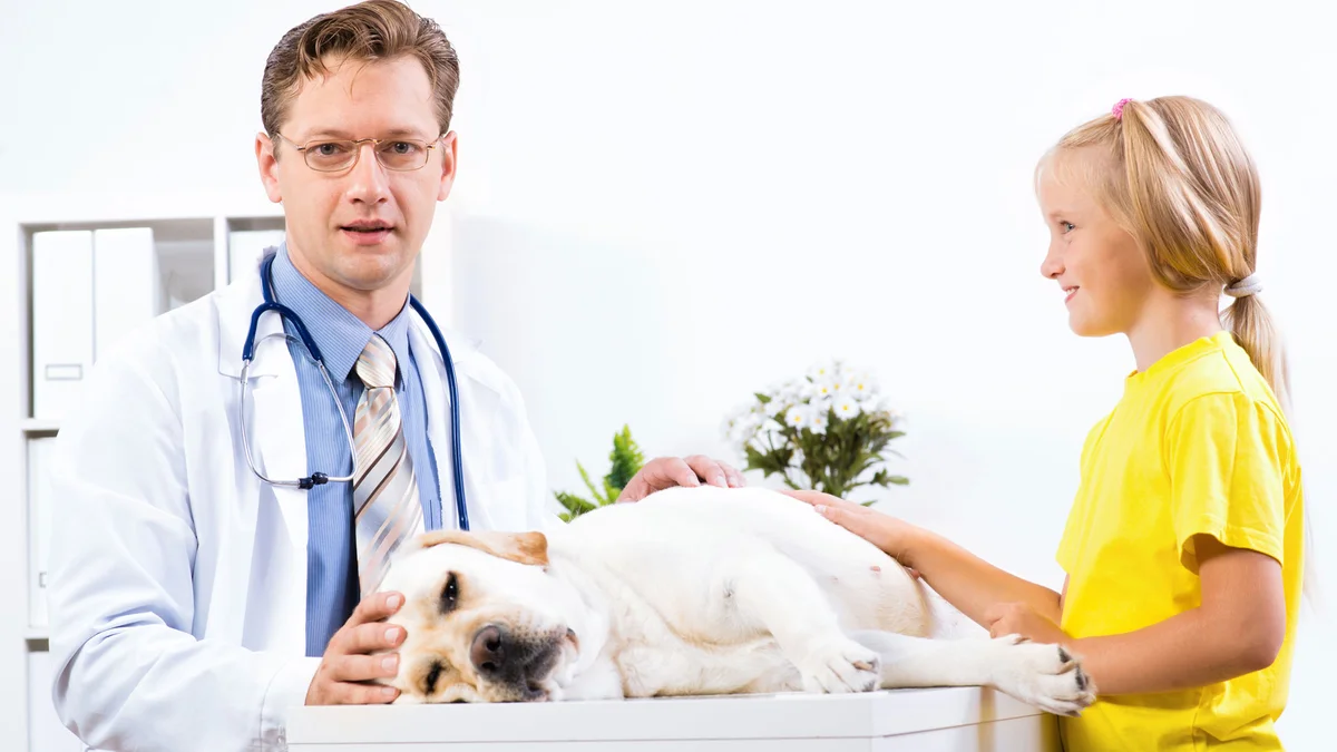 Citi Animal Hospital