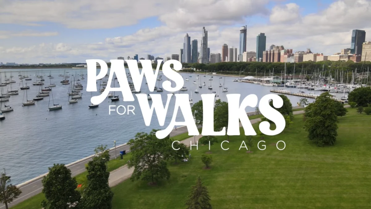 Paws For Walks Chicago