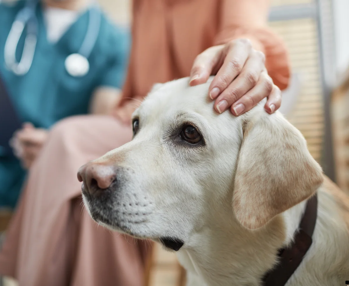 Laurelton Bayside Animal Hospital
