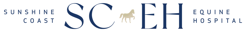 Sunshine Coast Equine Veterinary Clinic