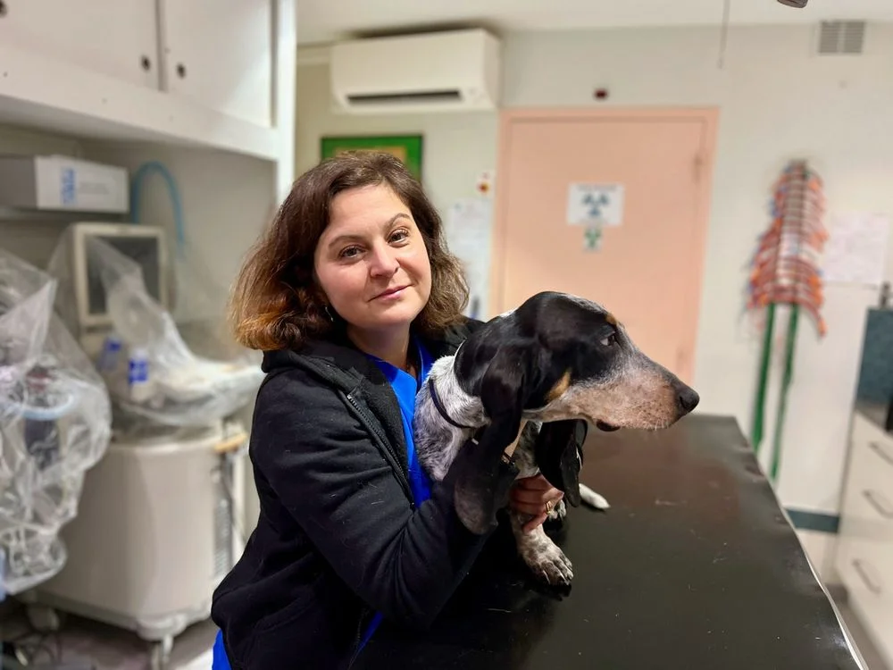 Clinique Vétérinaire Pascal Hardy