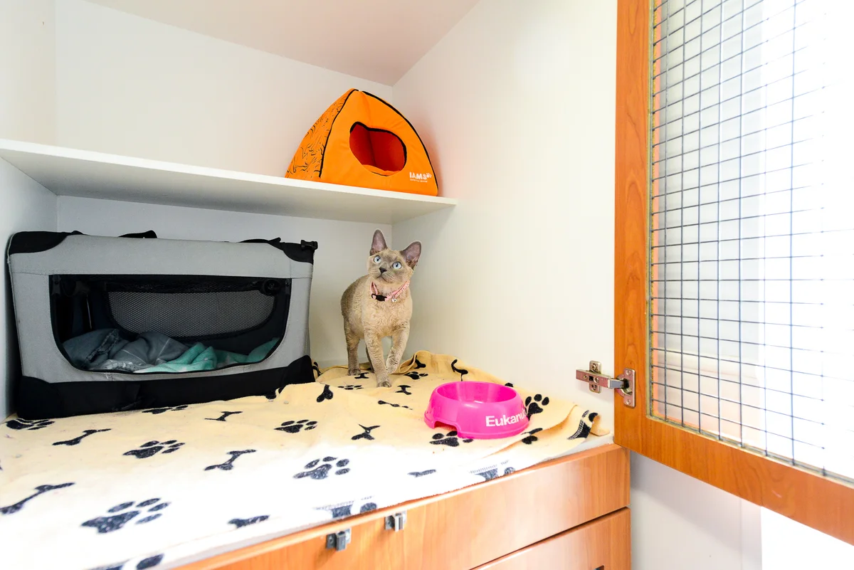 Parkinson Veterinary Surgery