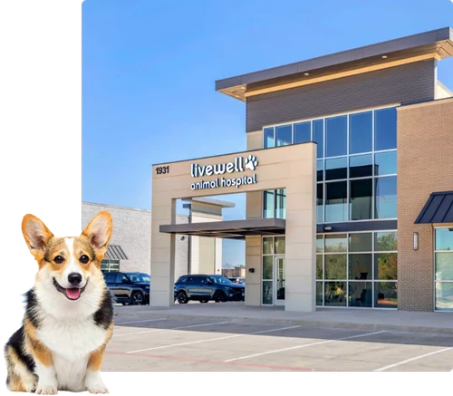 Livewell Animal Hospital of Little Elm