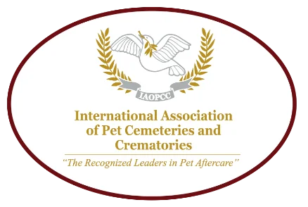 Paws, Whiskers, & Wags