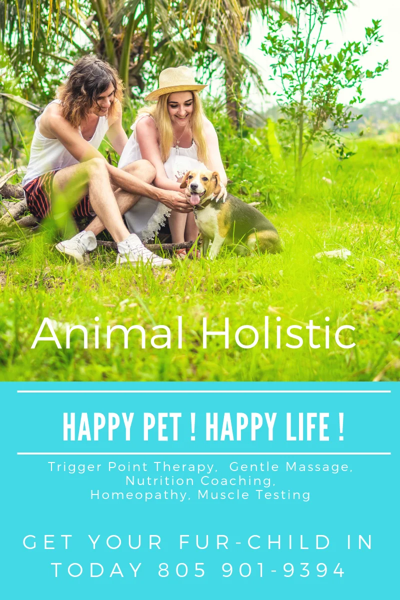Animal Holistic