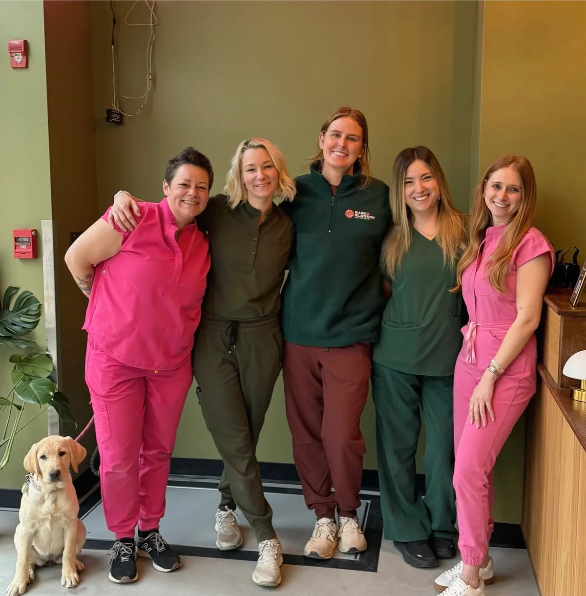 Bark & Blossom Vet Studio