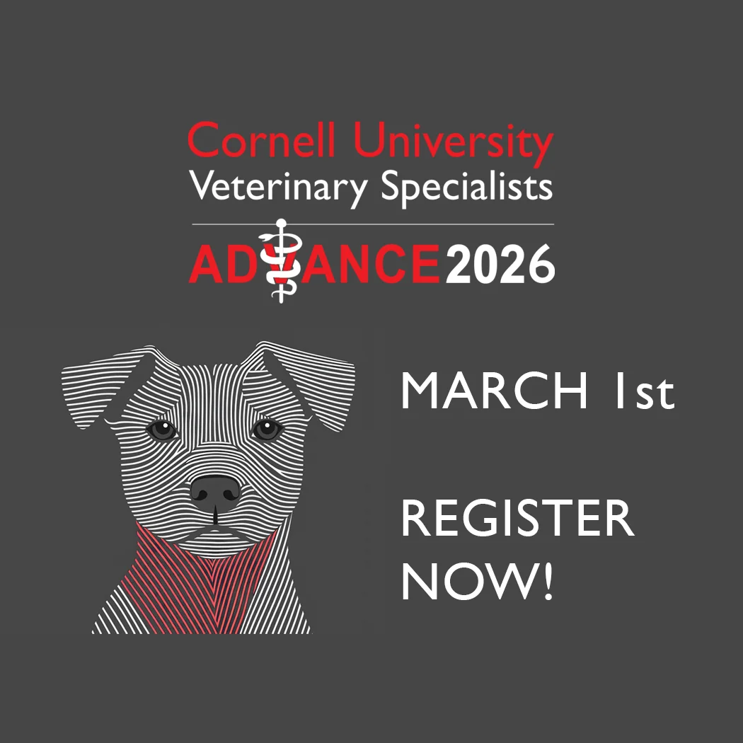 Cornell University Veterinary Specialists