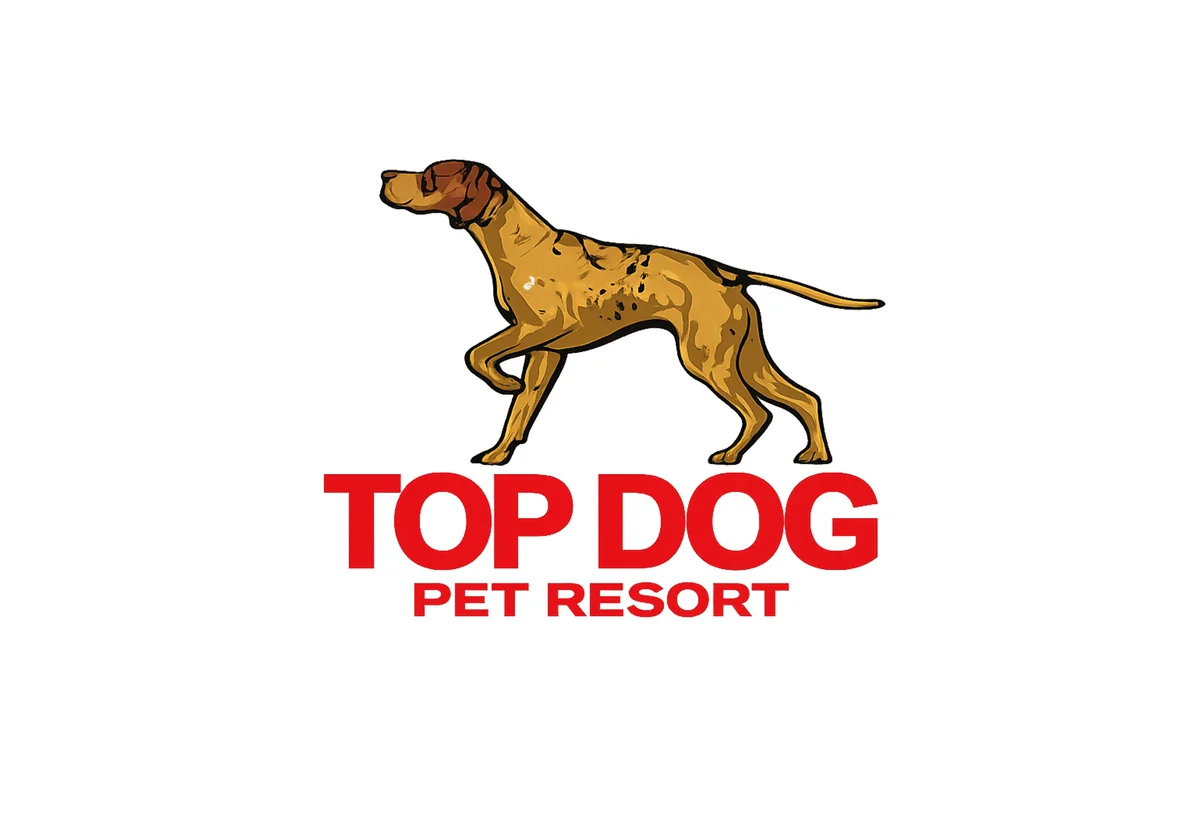 Top Dog Pet Resort