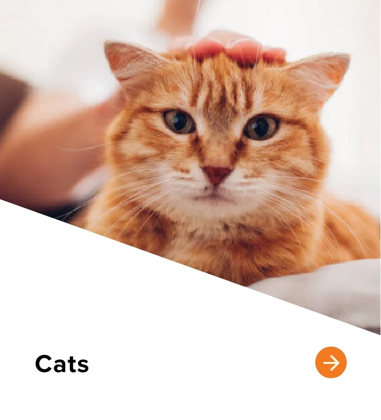 Sioux Nation Pet Clinic