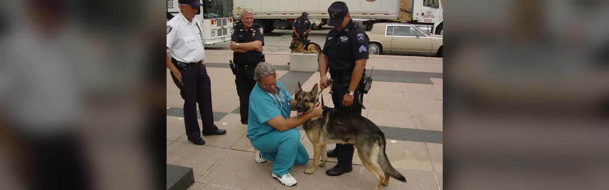 Valley Country Club For Pets